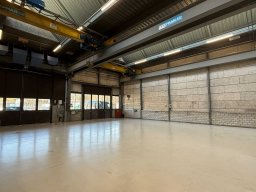 03.halle_b80